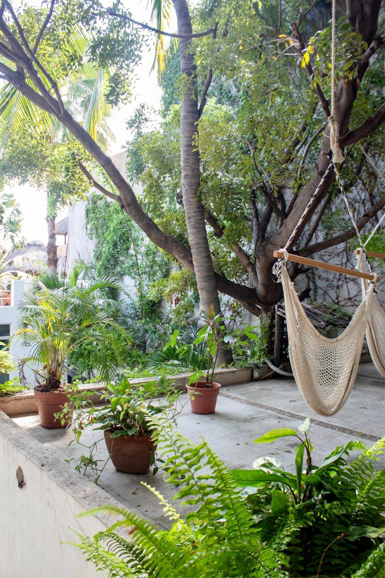 Casa Daikiri Hotel ปูแอร์โตเอสกอนดิโด ภายนอก รูปภาพ